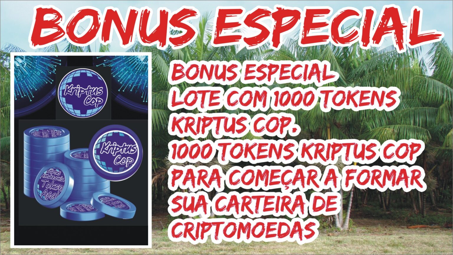 001-BONUS-1.jpg